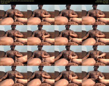 paradise699