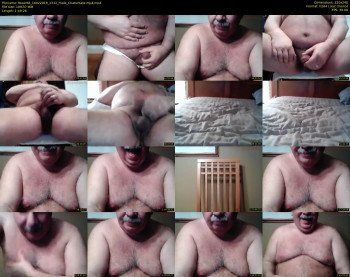 tbear66