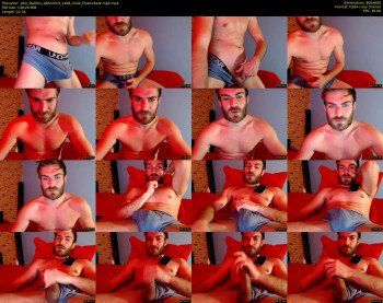 10in_stallion