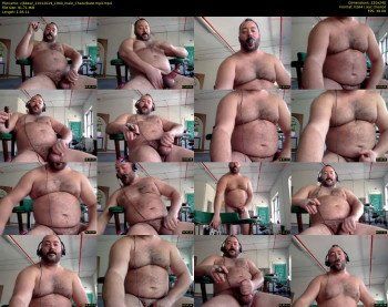 cjbbear