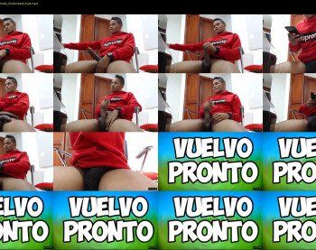 mojoel