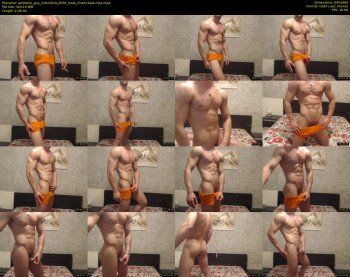 aesthetic_guy