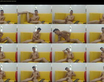 felipecollins19