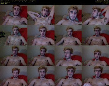 sexual_vibrations