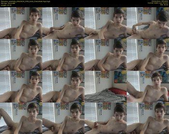 austinshy