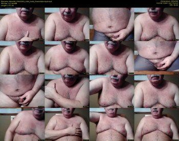 tbear66