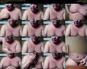tbear66