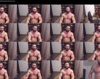 stevebulkzor