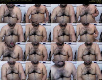 alexlatinbear