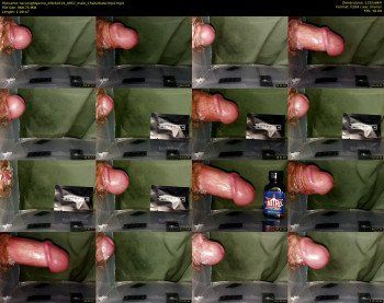 taconightporno