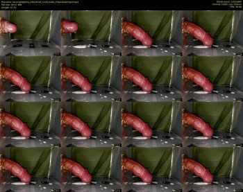 taconightporno