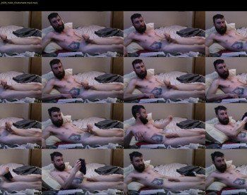 midwest_cock