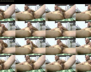 egyptian_cock