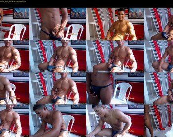 teddyfit19cm