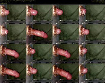 taconightporno