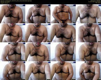 alexlatinbear
