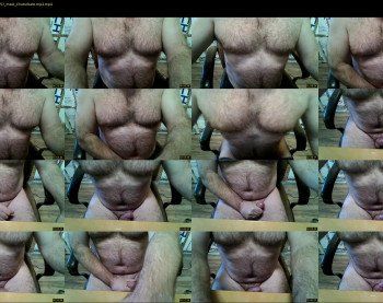 furrybear2