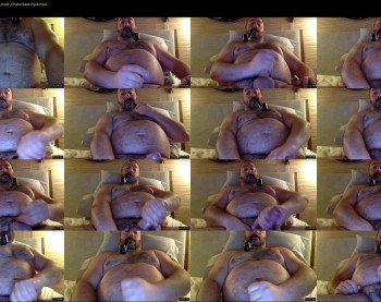 cjbbear