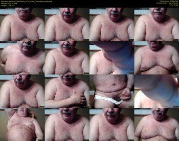 tbear66
