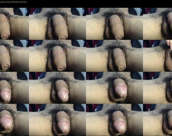 angell_miguell