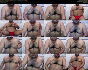 alexlatinbear