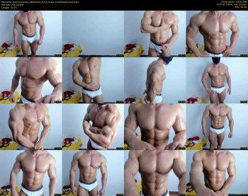 promuscles4u