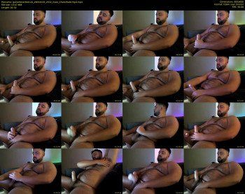 gainerbeardedcub