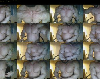 heavilymuscledbeast