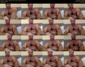 musclbear