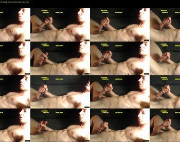 abdominator4cb