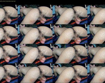 bachabazi22