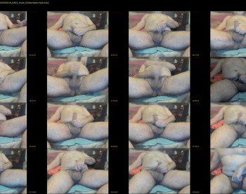 barebackversatile55