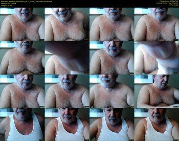 tbear66