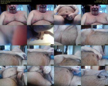 tbear66