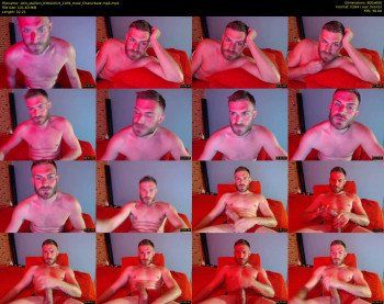 10in_stallion