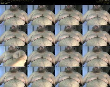 bear4bears