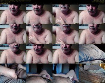 tbear66