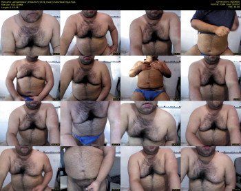 alexlatinbear