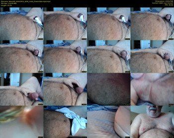 tbear66