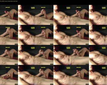 abdominator4cb