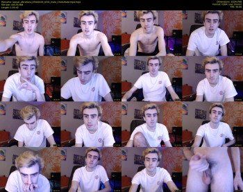 sexual_vibrations