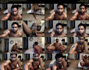 coco3402