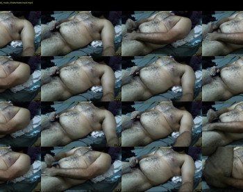 bearcrush