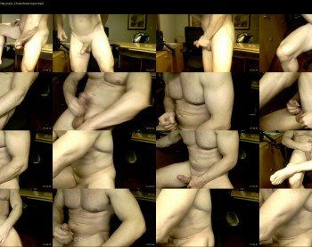 hornybi4all