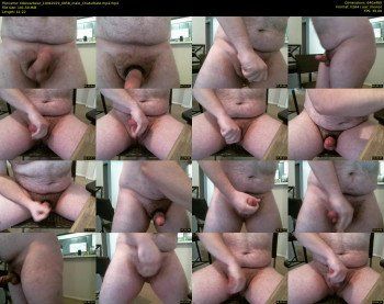 txbexarbear