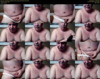 tbear66
