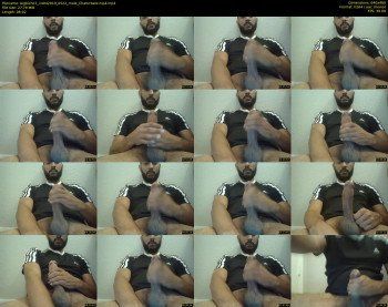 bigbicho7