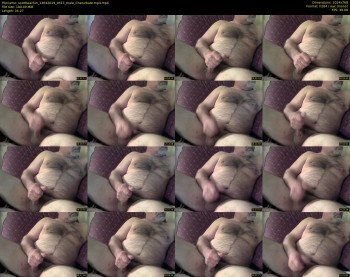 scottbearfun