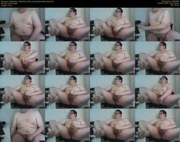 fatballs24