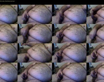 bighairytop
